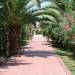 Alkyon Hotel& Spa