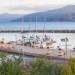 Ignatia