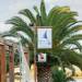 Ignatia